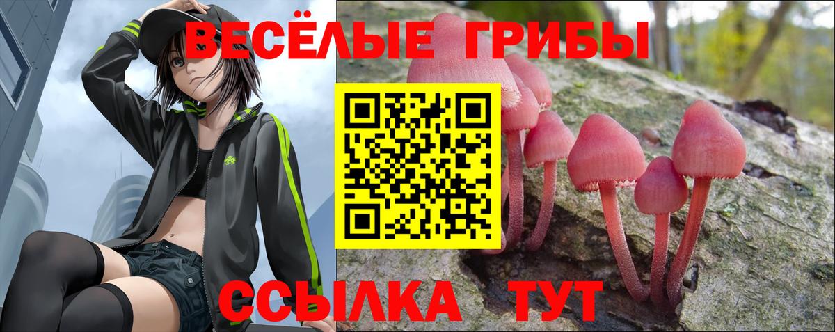 Галлюциногенные грибы Psilocybine cubensis Бутурлиновка